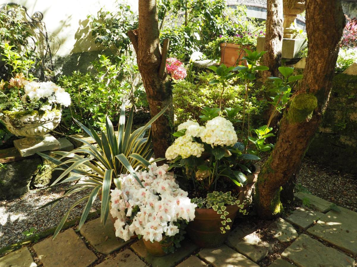 Casa Ella Bed and Breakfast Bagni di Lucca Buitenkant foto